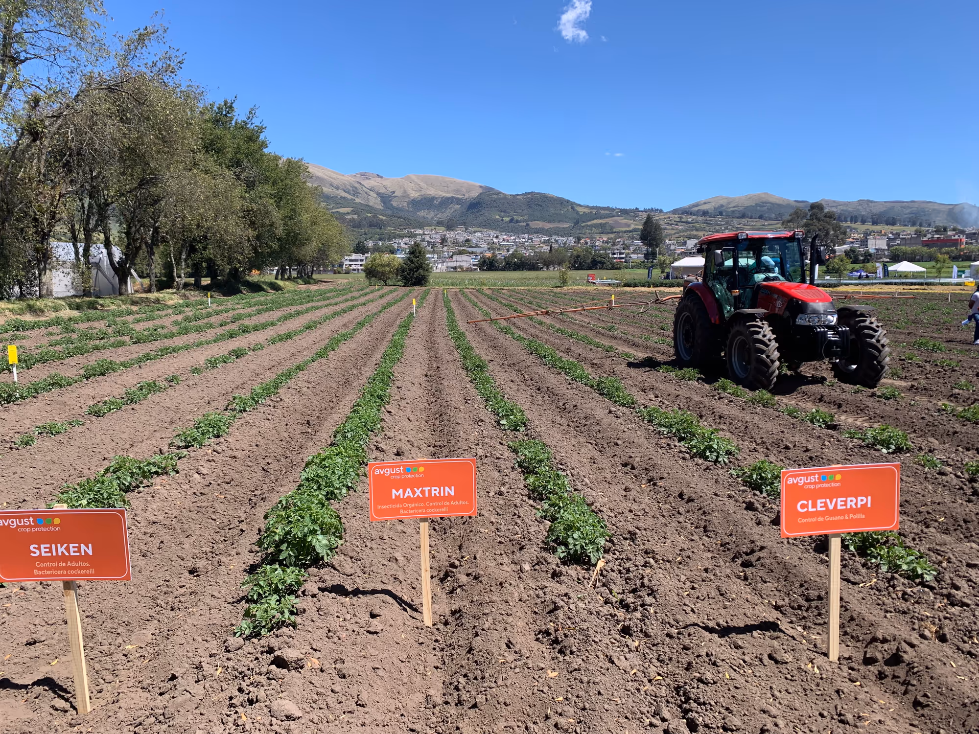 Edición anterior ALAP — foto 17